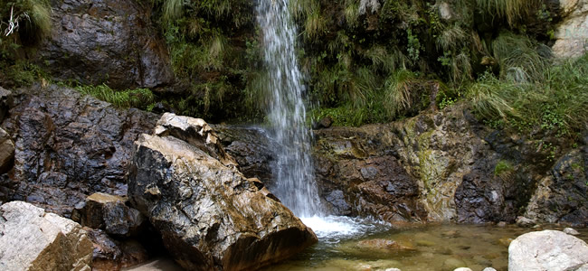 Chorro de San Ignacio